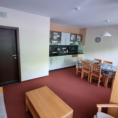 Apartman Mariana Vysoké Tatry エクステリア 写真