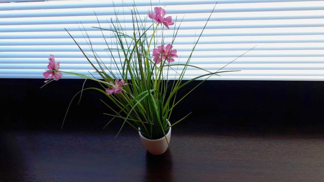 Apartman Mariana Vysoké Tatry エクステリア 写真