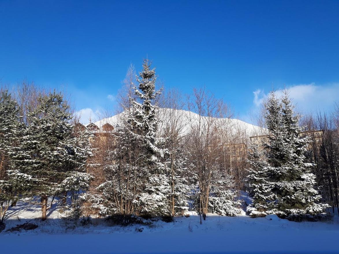 Apartman Mariana Vysoké Tatry エクステリア 写真