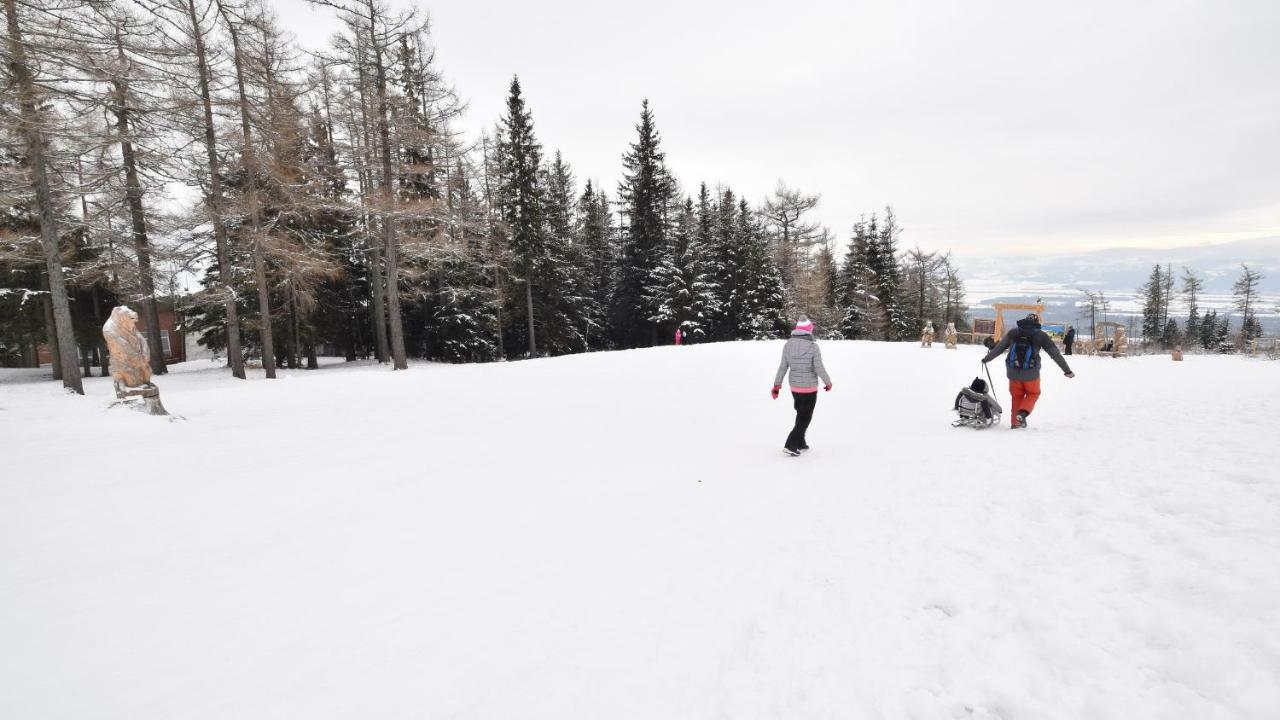 Apartman Mariana Vysoké Tatry エクステリア 写真