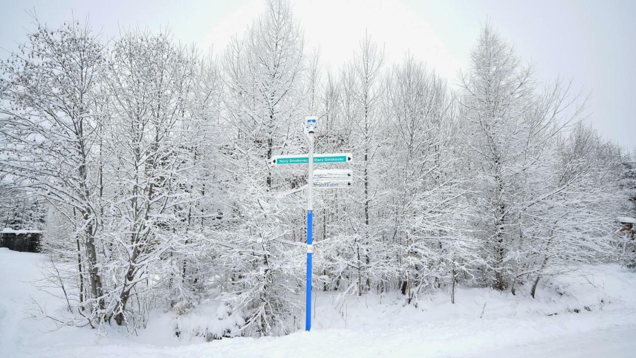 Apartman Mariana Vysoké Tatry エクステリア 写真