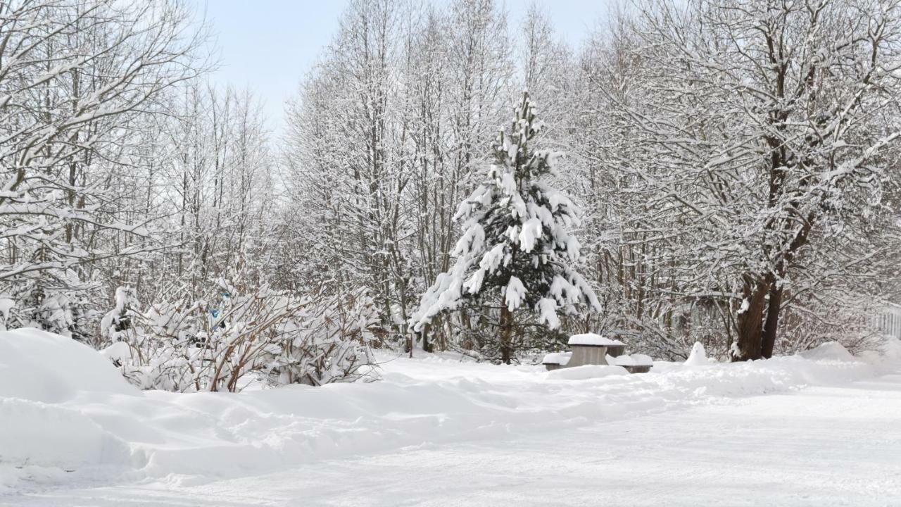 Apartman Mariana Vysoké Tatry エクステリア 写真